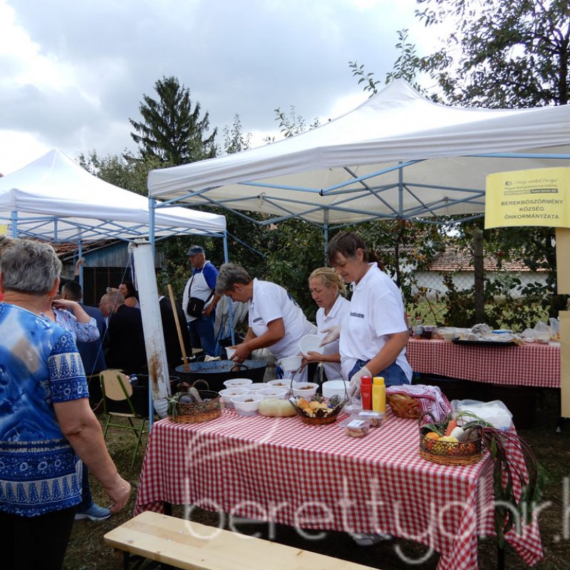 Helyi Értékek Startja 120